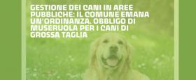 cani